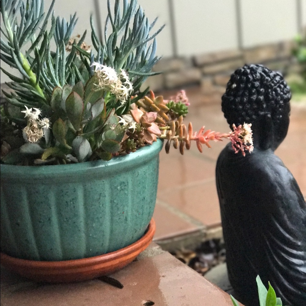 Meet your Posher, Ava